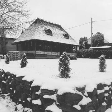 Фото Гостевой дом Casa din Susani г. Călineşti 2